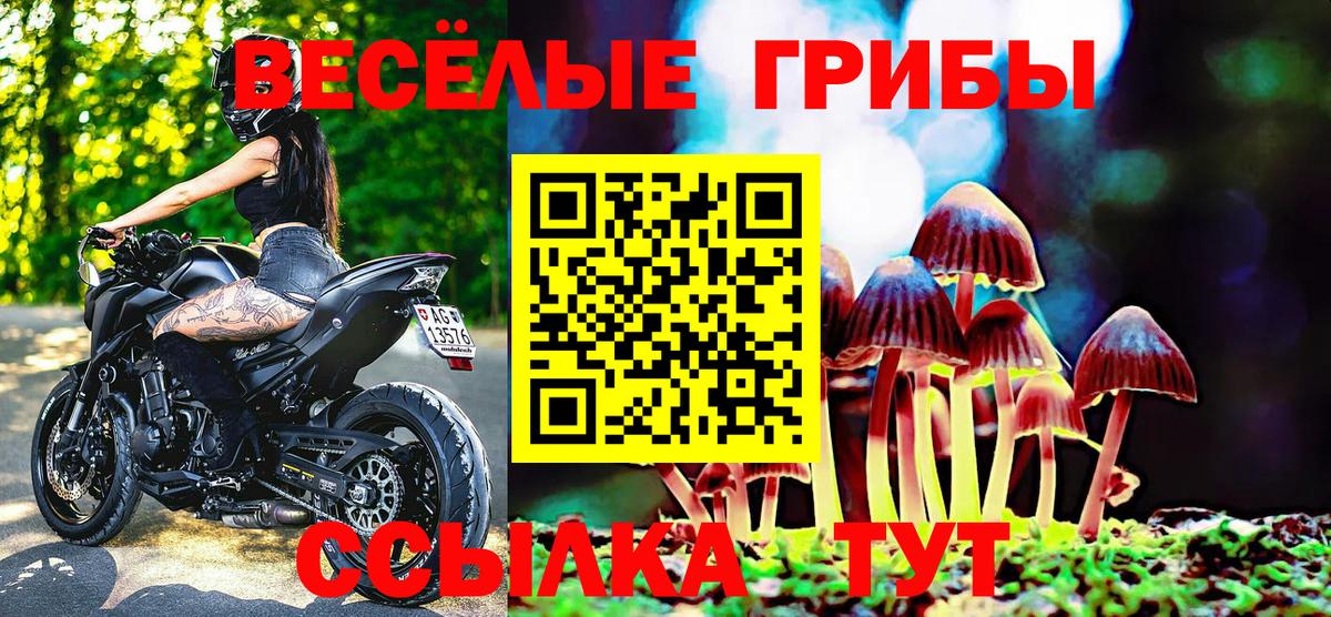 Псилоцибиновые грибы мицелий  Галлюциногенные грибы Psilocybe  Братск  Вход с VPN 